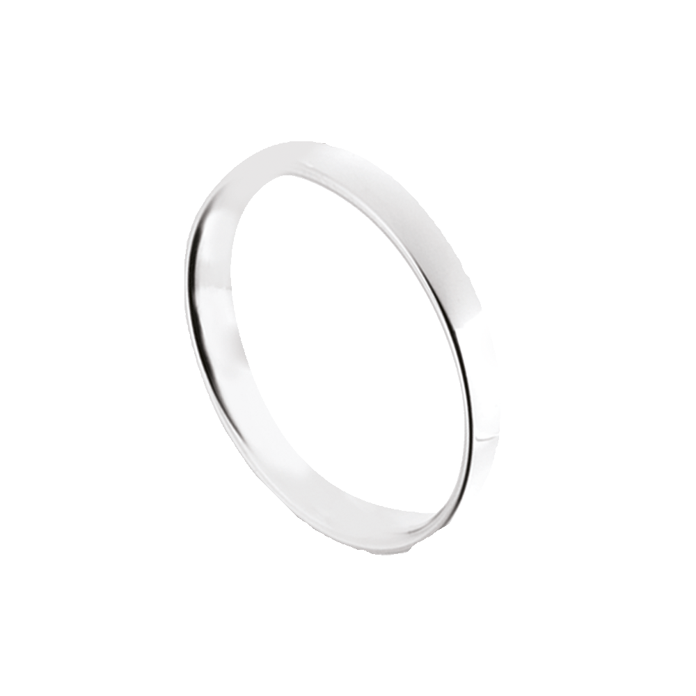 ÉPINGLE POUR DAMES EN ACIER