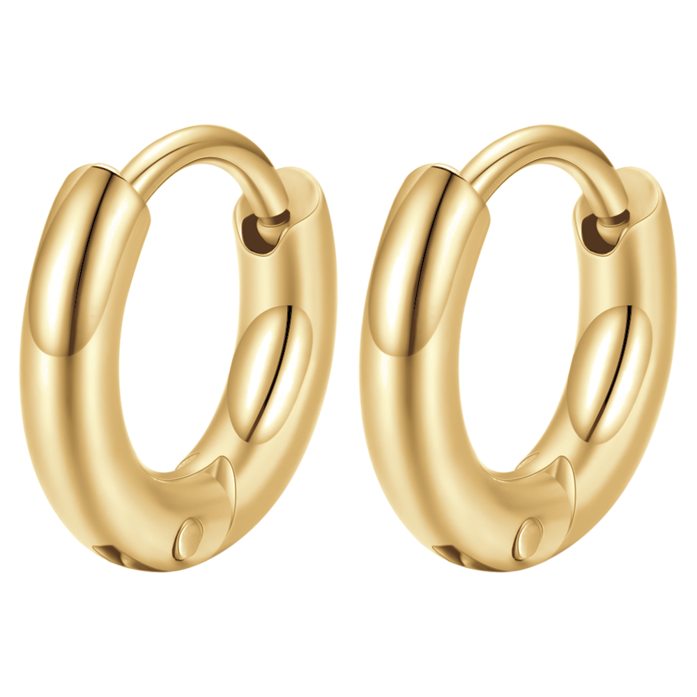 BOUCLES D'OREILLES CERCLÉES EN ACIER PLAQUÉ OR POUR FEMMES