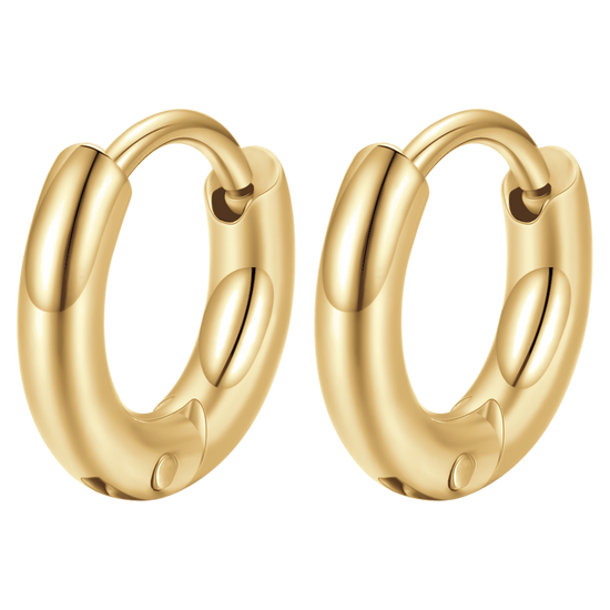 BOUCLES D'OREILLES CERCLÉES EN ACIER PLAQUÉ OR POUR FEMMES