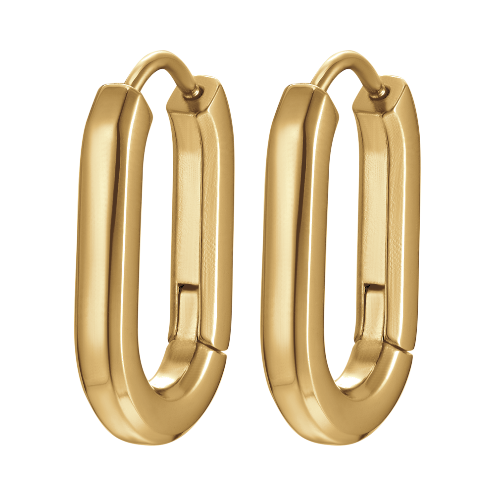 BOUCLES D'OREILLES EN ACIER ET OR IP POUR FEMMES