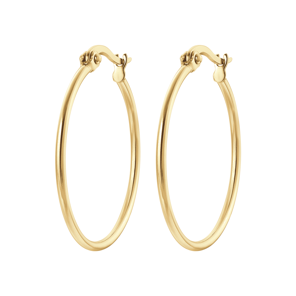 BOUCLES D'OREILLES CERCLÉES EN ACIER DE 25 MM DE DIAMÈTRE POUR FEMMES