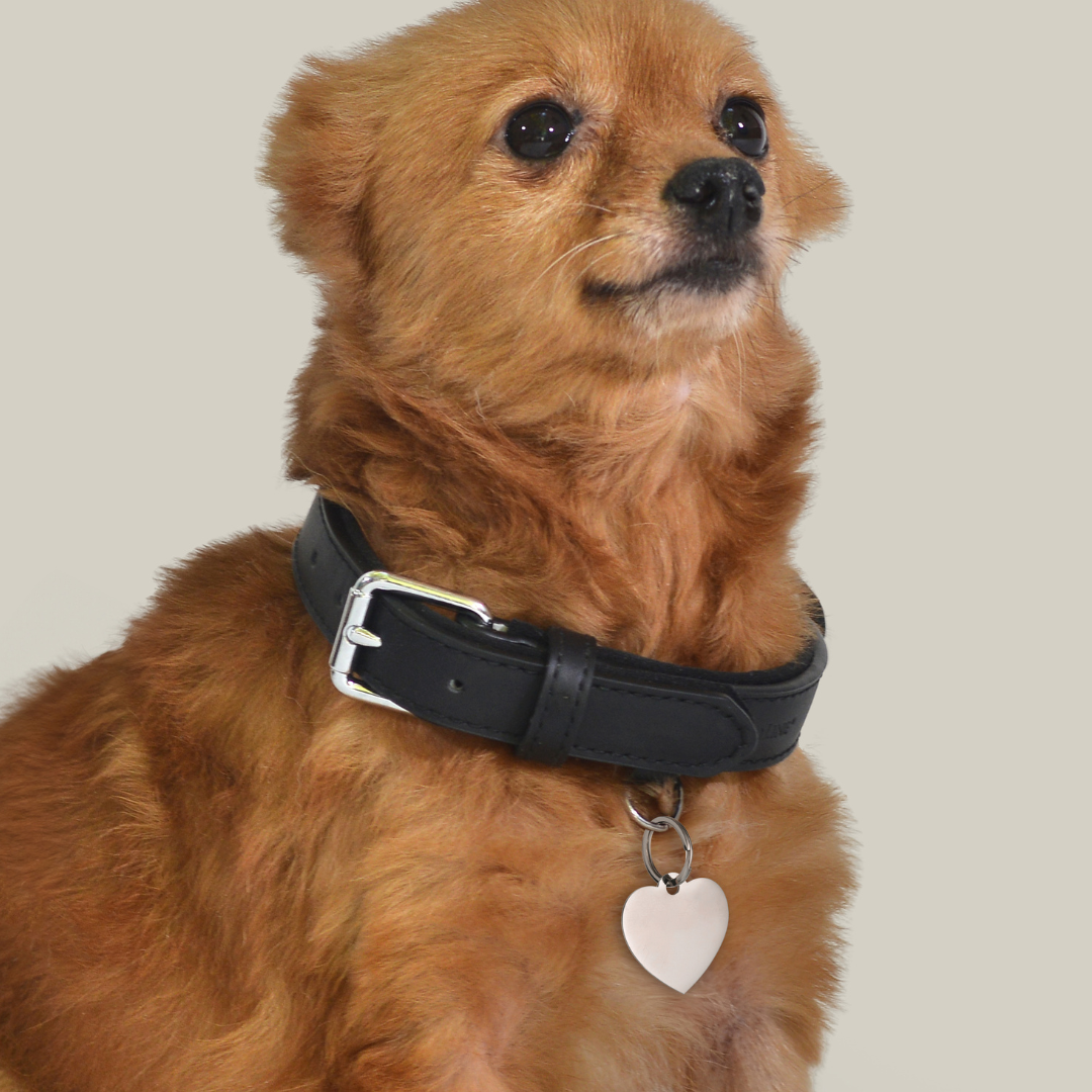 ÉTIQUETTE PERSONNALISABLE EN FORME DE CŒUR POUR CHIEN ET CHAT