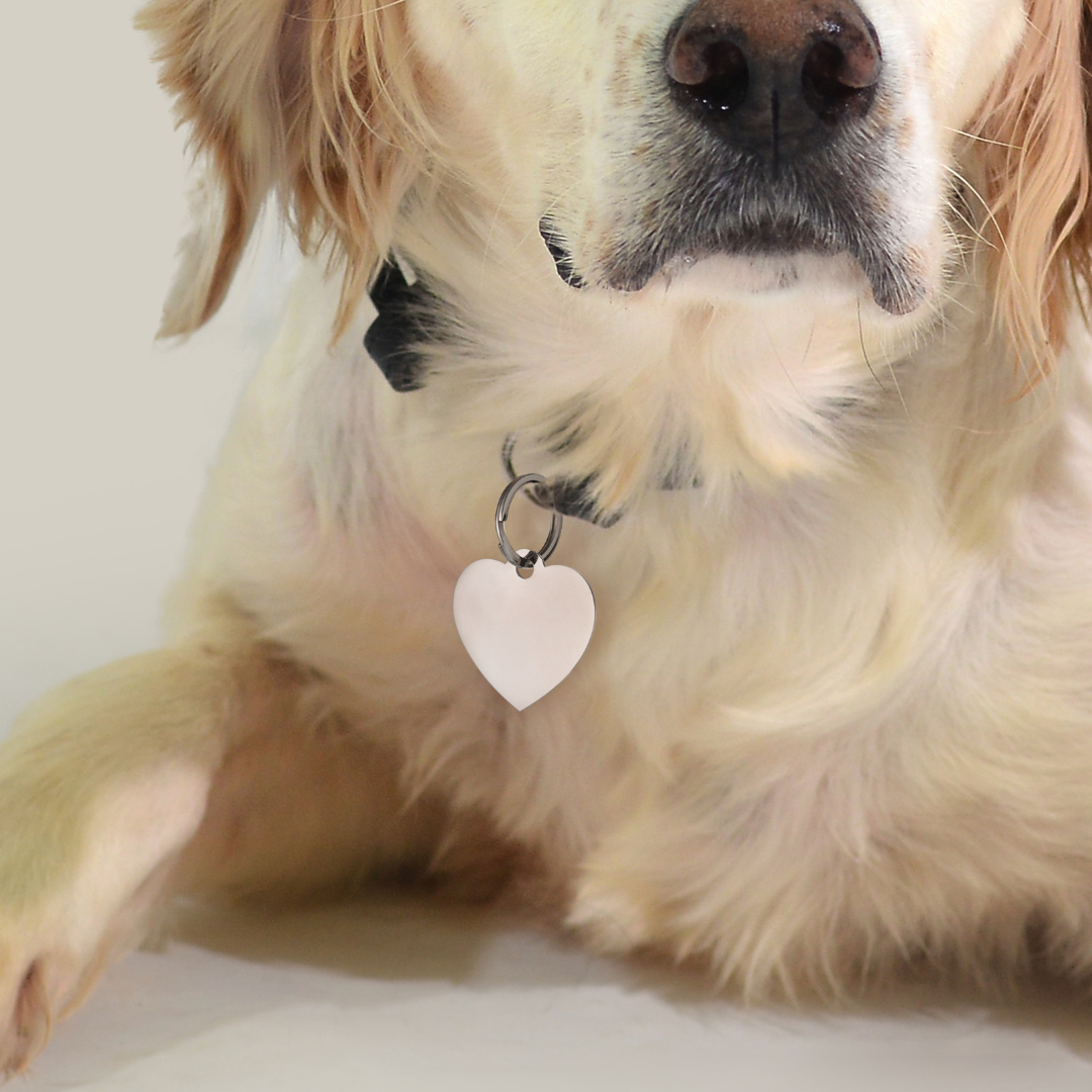 ÉTIQUETTE PERSONNALISABLE EN FORME DE CŒUR POUR CHIEN ET CHAT