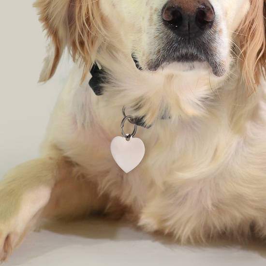 ÉTIQUETTE PERSONNALISABLE EN FORME DE CŒUR POUR CHIEN ET CHAT