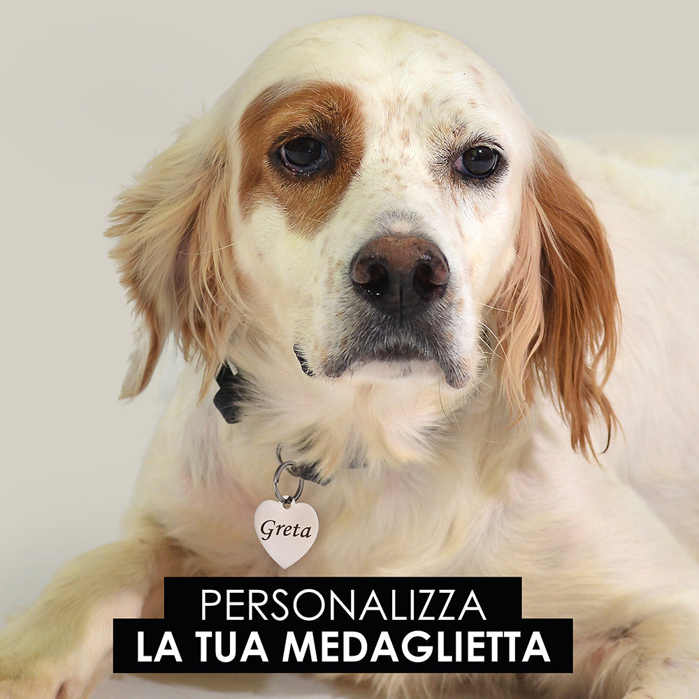 ÉTIQUETTE PERSONNALISABLE EN FORME DE CŒUR POUR CHIEN ET CHAT