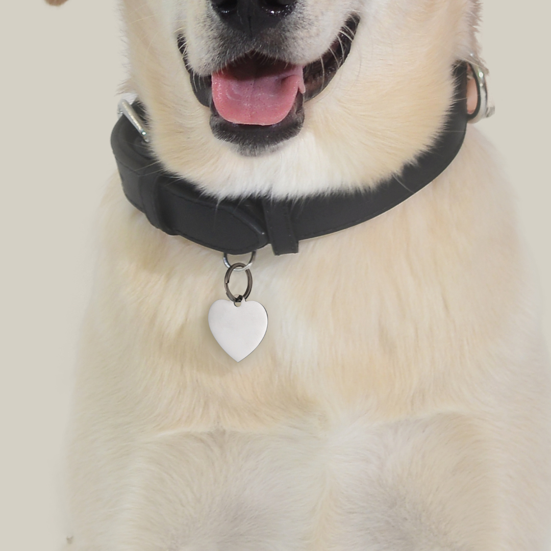 ÉTIQUETTE PERSONNALISABLE EN FORME DE CŒUR POUR CHIEN ET CHAT