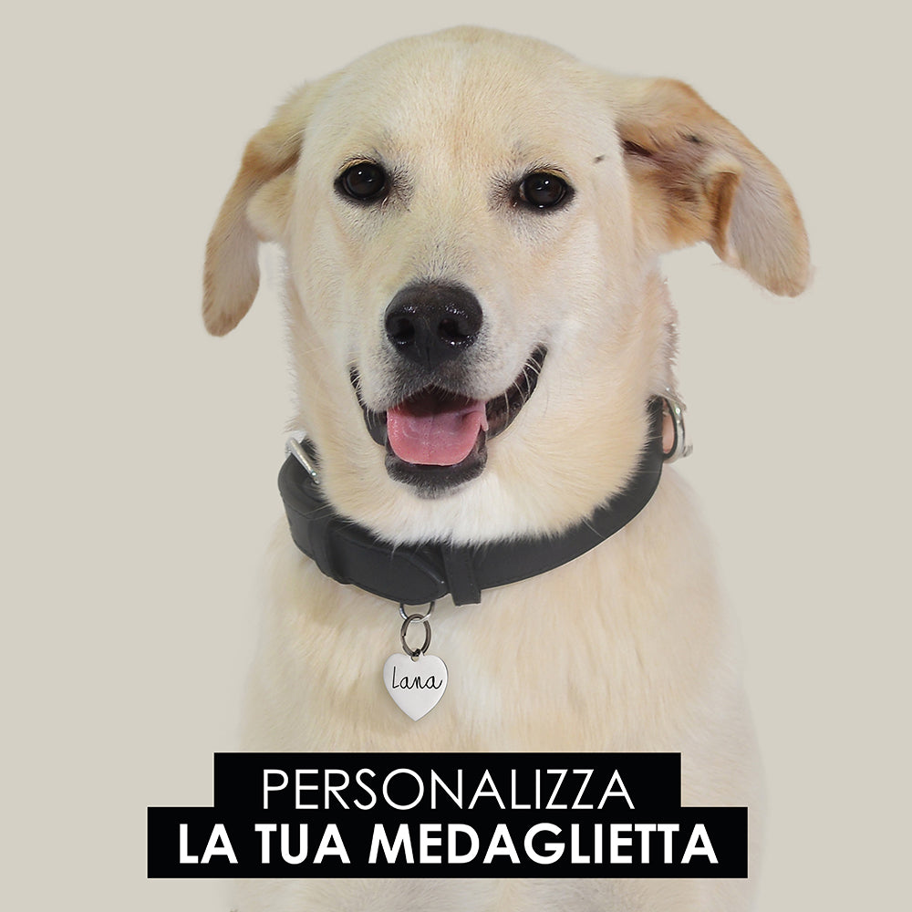 ÉTIQUETTE PERSONNALISABLE EN FORME DE CŒUR POUR CHIEN ET CHAT