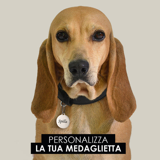 MÉDAILLE CIRCULAIRE PERSONNALISABLE POUR CHIEN ET CHAT