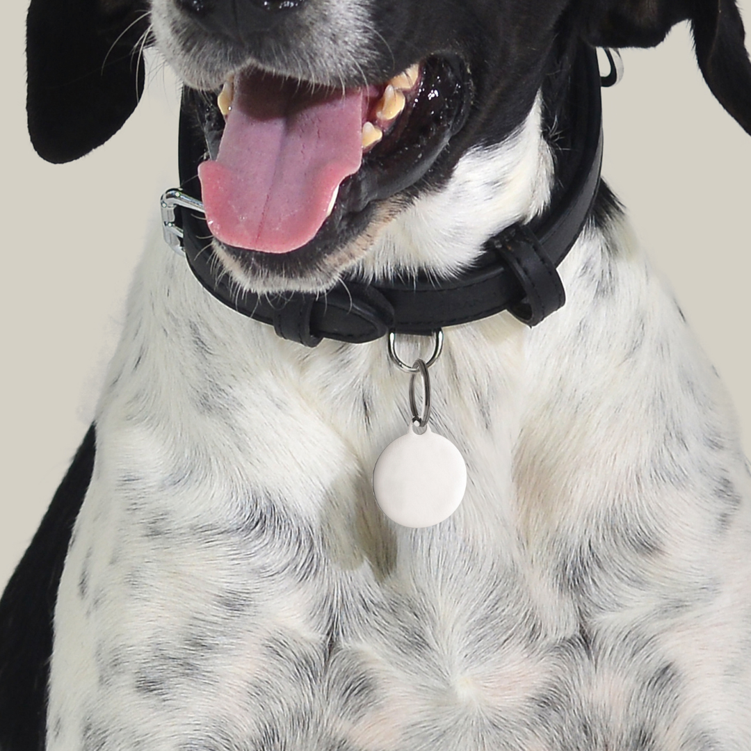 MÉDAILLE CIRCULAIRE PERSONNALISABLE POUR CHIEN ET CHAT