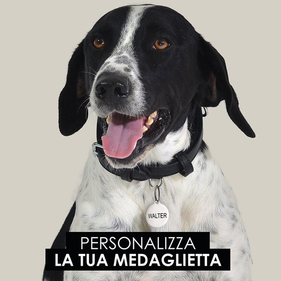MÉDAILLE CIRCULAIRE PERSONNALISABLE POUR CHIEN ET CHAT
